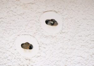 House sparrows using nest bricks at Nansledan