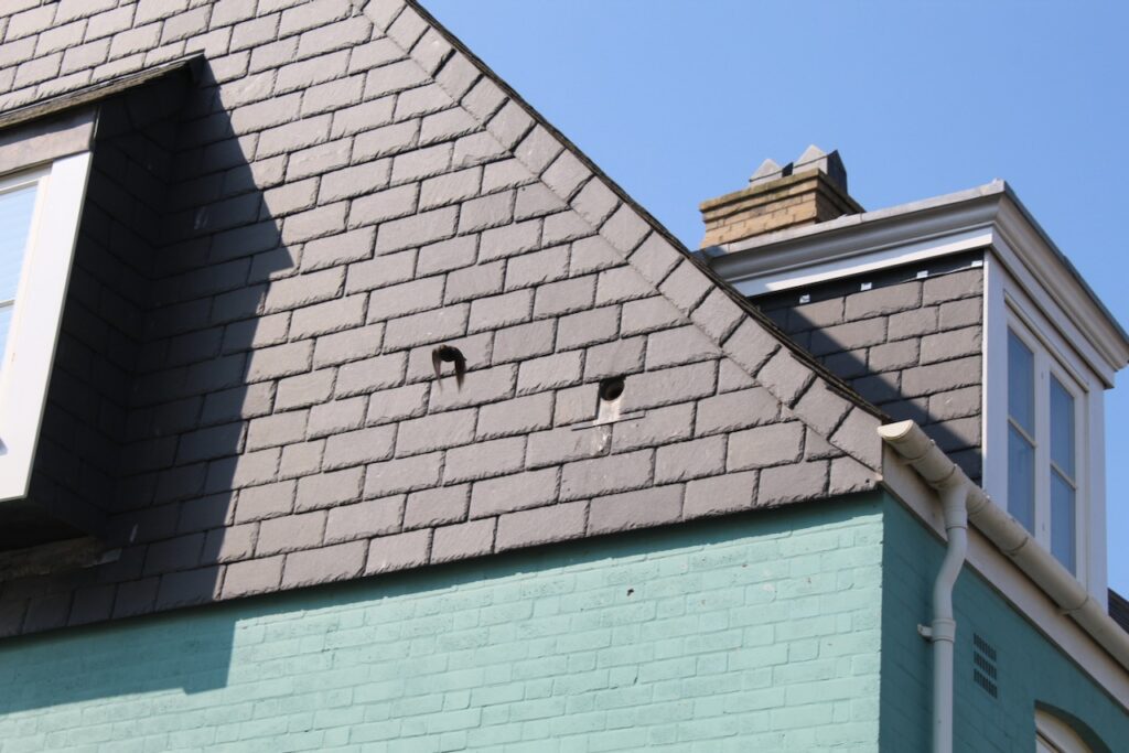 A starling leaves a bird box in Nansledan, the Duchy of Cornwall's development of new homes and businesses in Newquay.