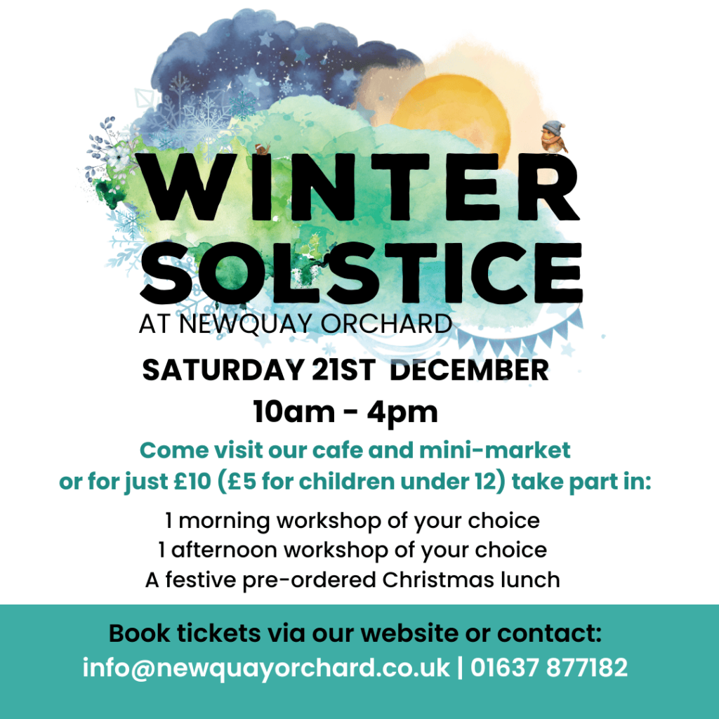 Winter Solstice Instagram Poster