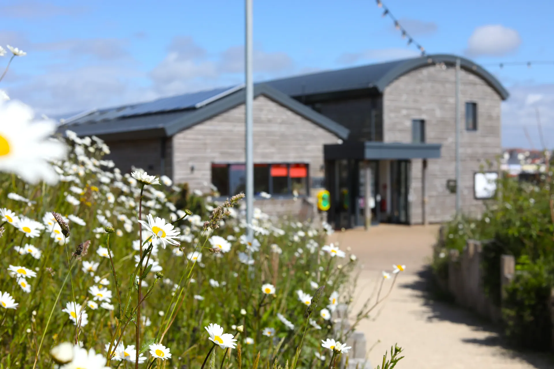 Newquay Orchard